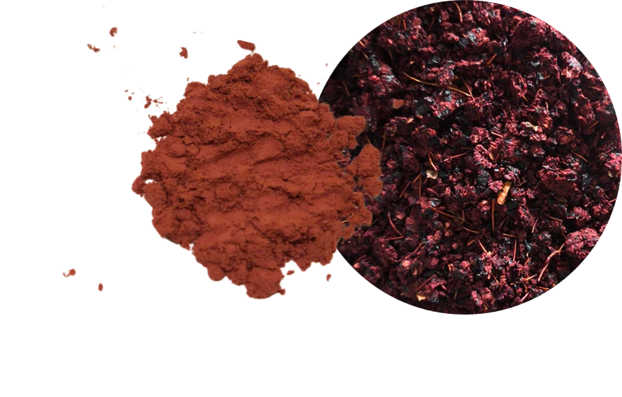 Aronia powder