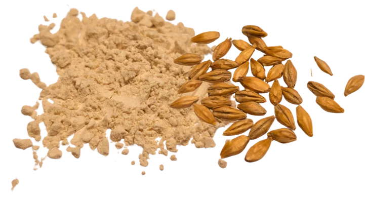 Malt powder